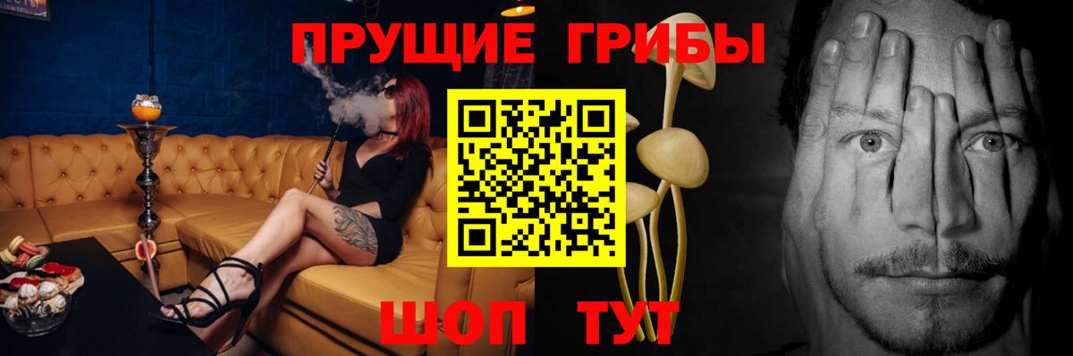 Петрозаводск  Галлюциногенные грибы Psilocybe  Вход с VPN 