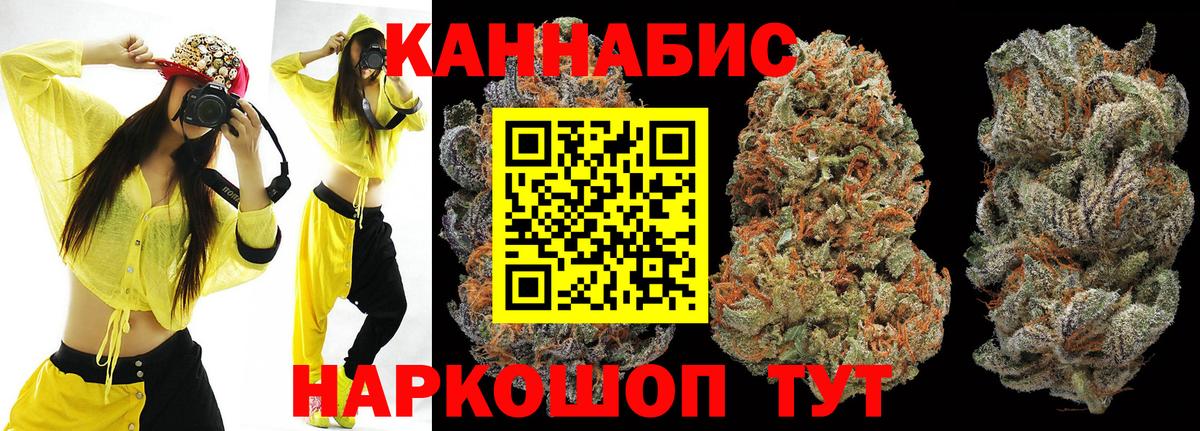 Бошки Шишки семена Петрозаводск